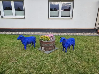 Tiere in der Ferienwohnung oder in der Nähe