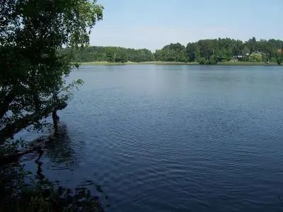 Naturlandschaft in der Nähe der Ferienwohnung