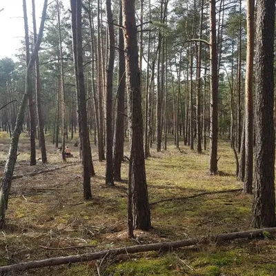 Naturlandschaft in der Nähe der Ferienwohnung
