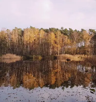 Naturlandschaft in der Nähe der Ferienwohnung