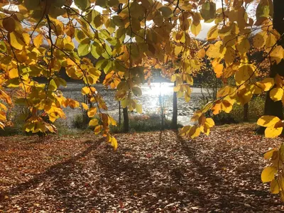 Ein Garten an der Unterkunft Ferienwohnung in Schmargendorf bei Angermünde