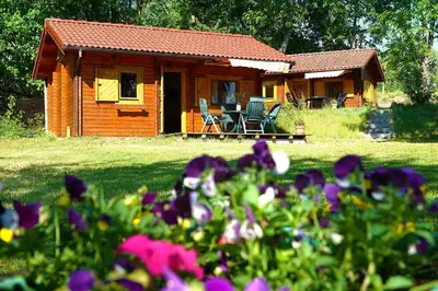 Ein Garten an der Unterkunft Urlaub im Fischland Scharmützelsee