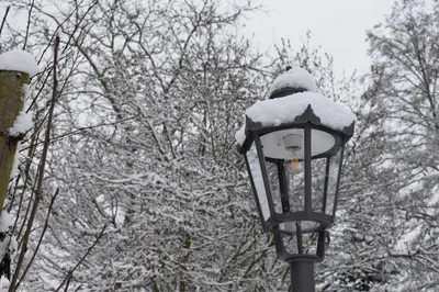 Hotel Seeschlösschen im Winter