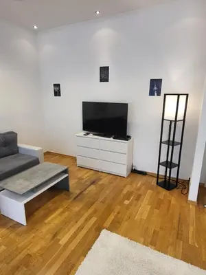 TV/Unterhaltungsangebot in der Unterkunft Apartment Pette C40