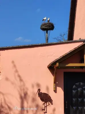 Grundriss der Unterkunft Storchennest mit eigenem Hof, Spielwiese und Terrasse