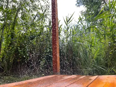 Ein Garten an der Unterkunft Häuschen in den Erlen