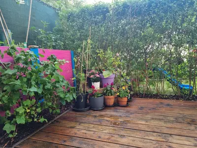 Ein Garten an der Unterkunft Helenas place