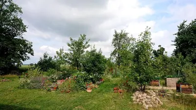 Ein Garten an der Unterkunft Ferienwohnung Butterbirne