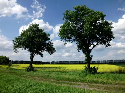 Naturlandschaft in der Nähe der Pension