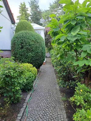 Ein Garten an der Unterkunft Apartment Kastanienallee Rosenthal