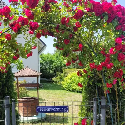 Ein Garten an der Unterkunft Traudis Ferienwohnung