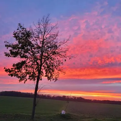 Naturlandschaft in der Nähe der Ferienwohnung