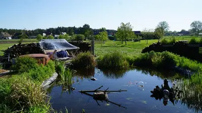 Naturlandschaft in der Nähe der Ferienwohnung