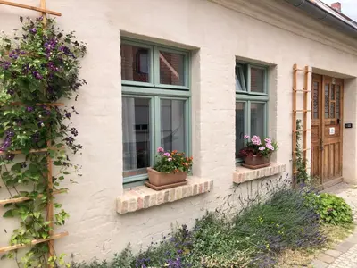 Ein Garten an der Unterkunft Klein aber fein in der Altstadt