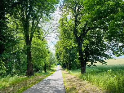 Naturlandschaft in der Nähe der Ferienwohnung