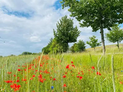 Naturlandschaft in der Nähe der Ferienwohnung