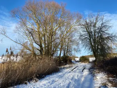 Klein aber fein in der Altstadt im Winter