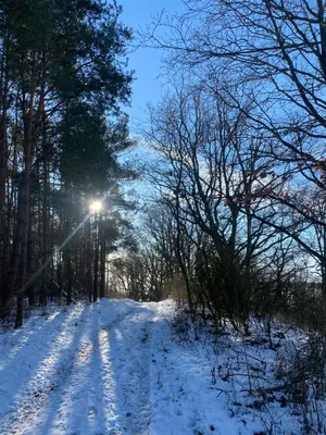 Klein aber fein in der Altstadt im Winter