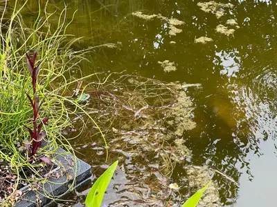 Blick auf einen Fluss in der Nähe des Ferienhauses