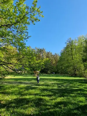 Naturlandschaft in der Nähe des Ferienhauses