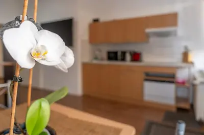 Küche/Küchenzeile in der Unterkunft NEST by Comfort Housing - 1 bedroom apartment
