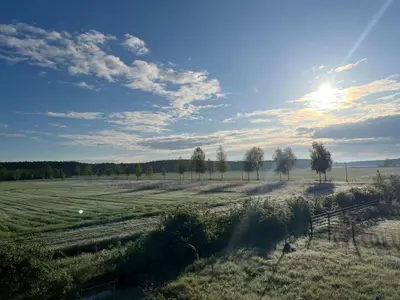 Naturlandschaft in der Nähe des Ferienhauses