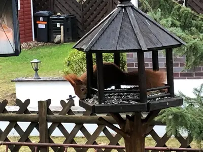 Ein für Gäste verfügbarer Grill in der Ferienwohnung