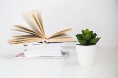 Die Bibliothek in der Ferienwohnung