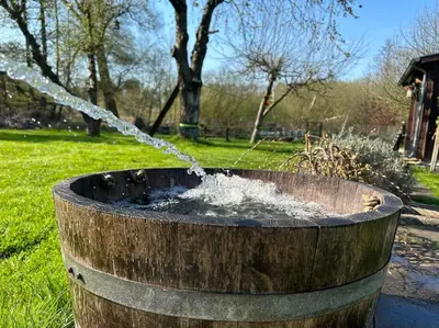 Ein Garten an der Unterkunft Ferienhaus am Beverinsee