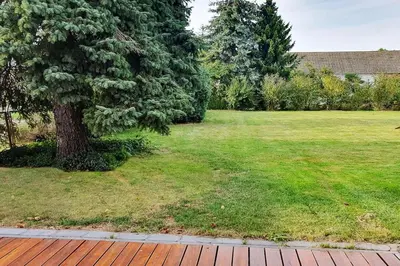 Ein Garten an der Unterkunft Ferienwohnung Sieben Eulen in Garrey (Hoher Fläming)