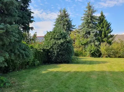 Ein Garten an der Unterkunft Ferienwohnung Sieben Eulen in Garrey (Hoher Fläming)