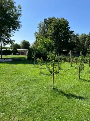 Ein Garten an der Unterkunft Havelstern Ketzin, Ferienhaus Plötze
