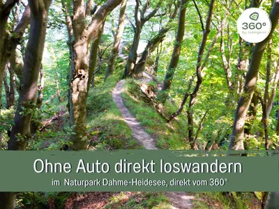 Naturlandschaft in der Nähe der Ferienwohnung