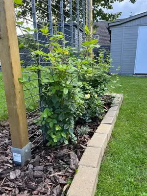 Ein Garten an der Unterkunft CASALINO DI ANNA 2
