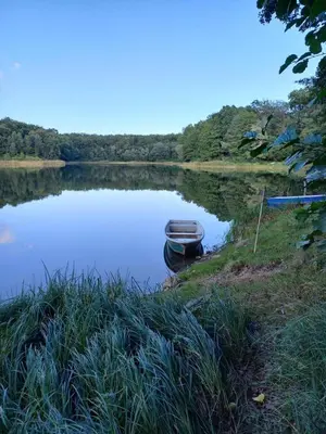 Naturlandschaft in der Nähe des Ferienhauses