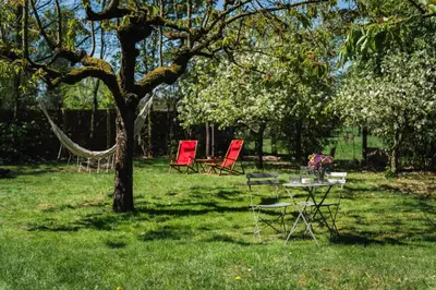 Ein Garten an der Unterkunft Ferienhaus Am Silberberg, Bad Saarow