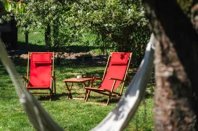 Ein Garten an der Unterkunft Ferienhaus Am Silberberg, Bad Saarow