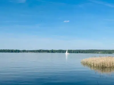 Naturlandschaft in der Nähe der Ferienwohnung