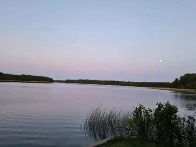 Naturlandschaft in der Nähe des Ferienhauses