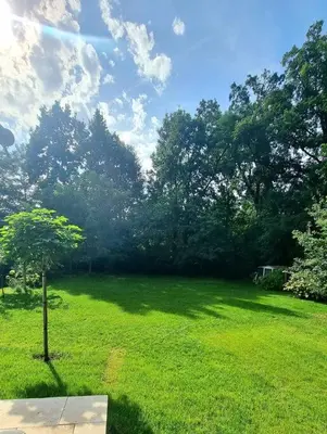 Ein Garten an der Unterkunft Haus am Waldrand und in Seenähe