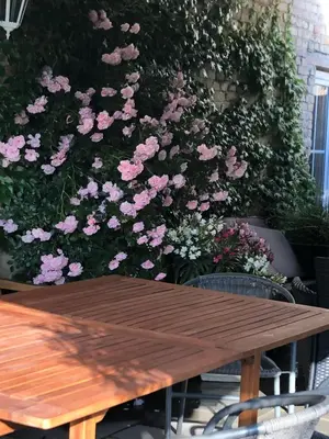Ein Garten an der Unterkunft Ferienwohnung in Werder Havel Innenstadt
