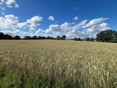 Naturlandschaft in der Nähe der Ferienwohnung