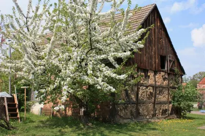Ein Garten an der Unterkunft Ferienhof Löschebrand