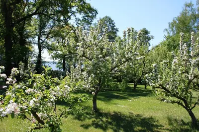 Naturlandschaft in der Nähe der Ferienwohnung