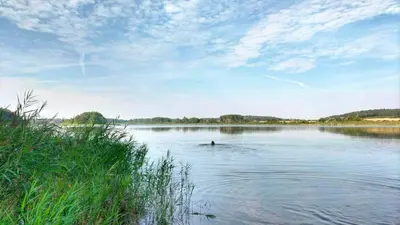 Naturlandschaft in der Nähe der Ferienwohnung