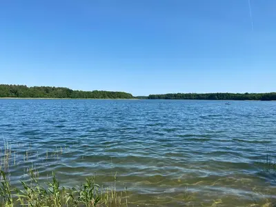 Naturlandschaft in der Nähe des Ferienhauses