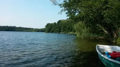 Naturlandschaft in der Nähe der Ferienwohnung