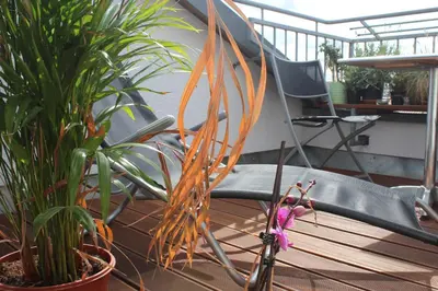 Ein Balkon oder eine Terrasse in der Unterkunft Rooftop Loft Berlin Mitte and Bikes