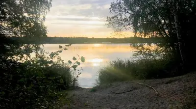 Naturlandschaft in der Nähe der Villa