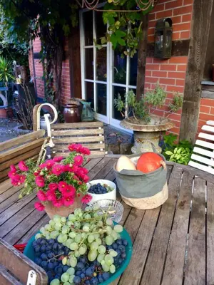 Ein Garten an der Unterkunft Romantische Ferienwohnung im historischen Stadtkern Jüterbog